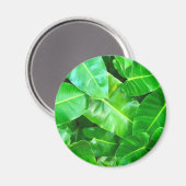 Grüne Blätter Palmblättriger Dschungel Magnet (Vorderseite/Rückseite)