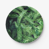 Grüne Blätter Pappteller (Vorderseite)