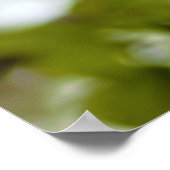 Grüne Blätter Poster (Ecke)