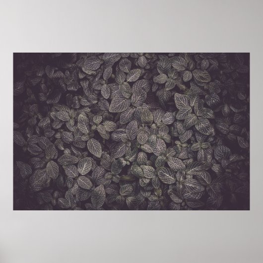 GRÜNE BLÄTTER POSTER (Vorne)