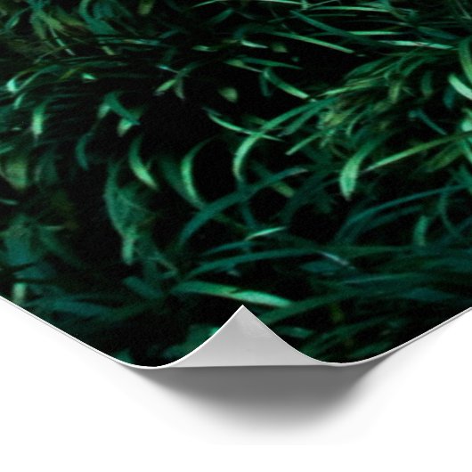 Grüne Blätter Poster (Ecke)