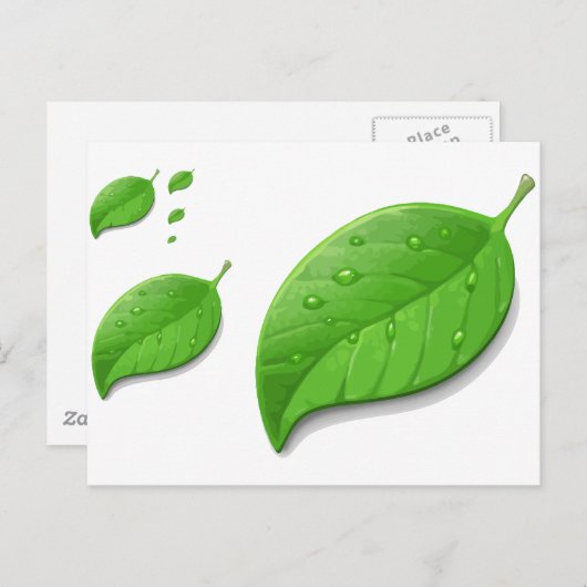 Grüne Blätter Postkarte (Vorne/Hinten)