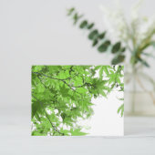 Grüne Blätter Postkarte (Stehend Vorderseite)