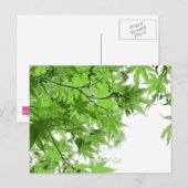 Grüne Blätter Postkarte (Vorne/Hinten)
