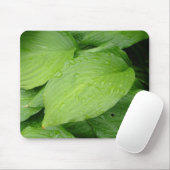 grüne Blätter, Regentropfen Mousepad (Mit Mouse)