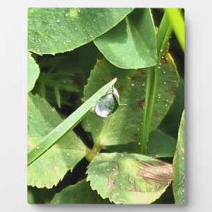 Grüne Blätter Rumänien - Botanische Blattwandkunst Fotoplatte