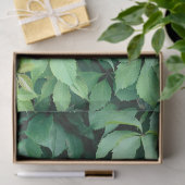 Grüne Blätter Seidenpapier (Geschenk)