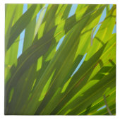Grüne Blätter, Sonnenlicht und blauer Himmel Fliese (Vorderseite)