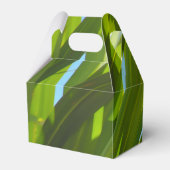 Grüne Blätter, Sonnenlicht und blauer Himmel Geschenkschachtel (Rückseite)