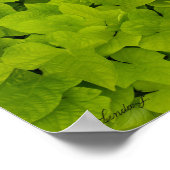 Grüne Blätter Textur Hintergrund Leinwand oder Pos Poster (Ecke)