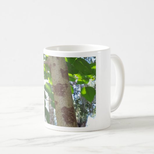grüne Blätter und Baumstamm mit cooler Rinde Kaffeetasse (VorderseiteRechts)