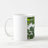 grüne Blätter und Baumstamm mit cooler Rinde Kaffeetasse (Links)