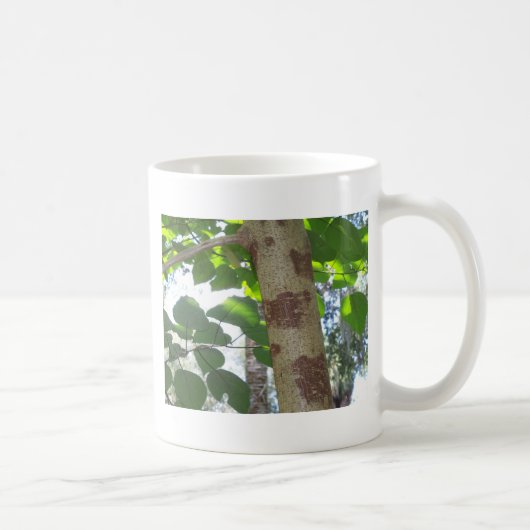 grüne Blätter und Baumstamm mit cooler Rinde Kaffeetasse (Rechts)