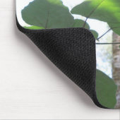 grüne Blätter und Baumstamm mit cooler Rinde Mousepad (Ecke)