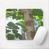 grüne Blätter und Baumstamm mit cooler Rinde Mousepad (Mit Mouse)