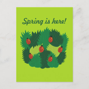 Grüne Blätter und Ladybugs Frühling ist hier Postkarte