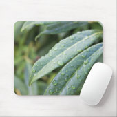 grüne Blätter und Regentropfen Mousepad (Mit Mouse)
