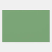 Grüne Blätter und weiße Blume über den grünen Hint (Vorderseite 3)