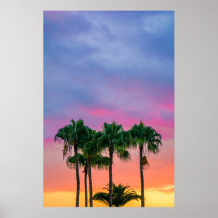 Grüne Blätter unter blauem Himmel während der gold Poster