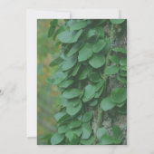 Grüne Blätter Weinkultur im Party Baumart Einladung (Rückseite)