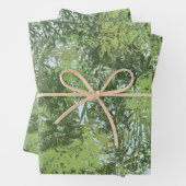 Grüne Blätterbäume mit blauem Himmel, die durch Ku Geschenkpapier Set (Beispiel)