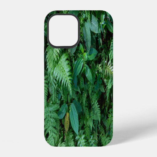 Grüne Blattfarbe iPhone Hülle (Rückseite)