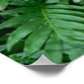 Grüne Blattfarbe Poster (Ecke)