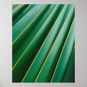 Grüne Blattstruktur Pflanze Streifen Poster
