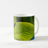 Grüne Blattviertel Kaffeetasse (VorderseiteRechts)