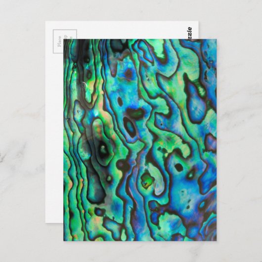 Grüne blaue pauschale Muschel Postkarte (Vorne/Hinten)