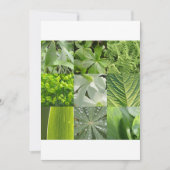 Grüne Blume (Vorderseite)