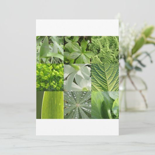 Grüne Blume (Stehend Vorderseite)