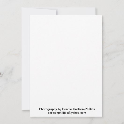 Grüne Blume (Rückseite)