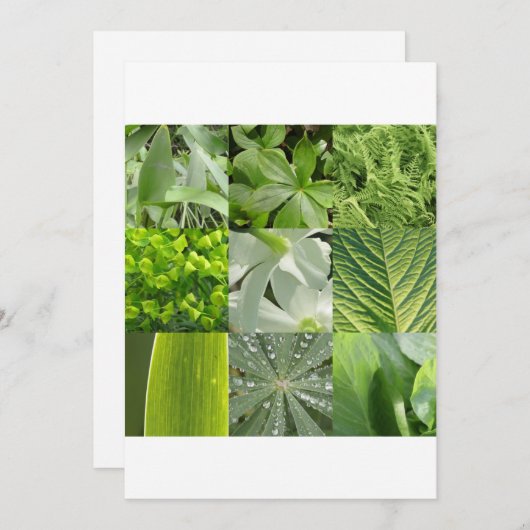 Grüne Blume (Vorne/Hinten)