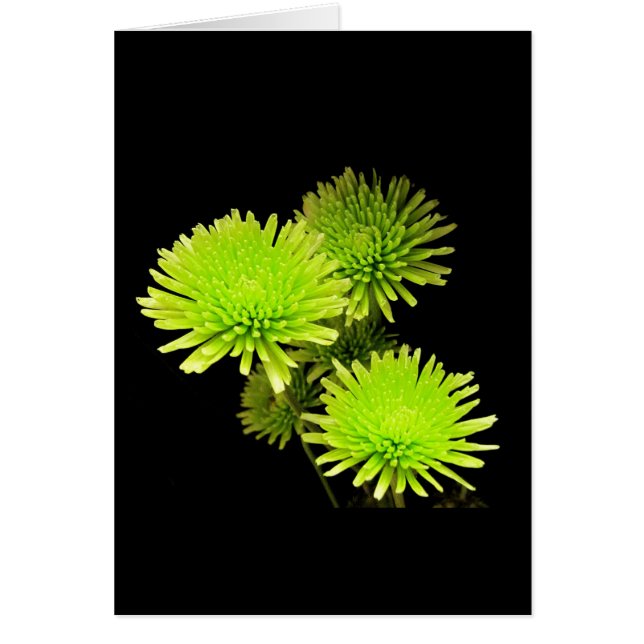 Grüne Blume (Vorne)