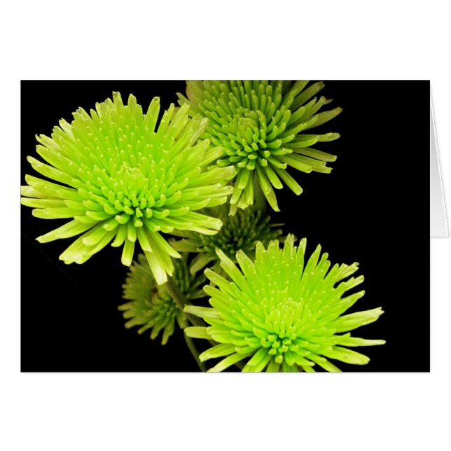 Grüne Blume (Vorderseite (Horizontal))