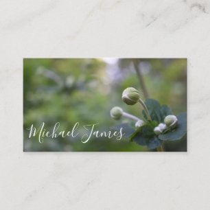 Grüne Blume Bud Garden Naturfotografie Florenz Visitenkarte