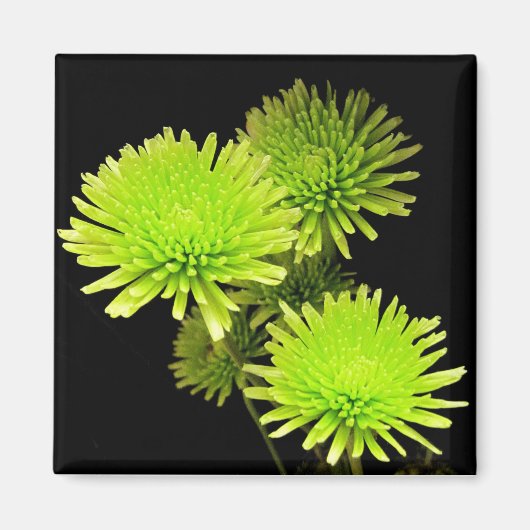 Grüne Blume Magnet (Vorne)