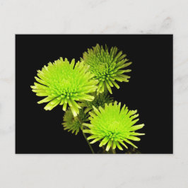 Grüne Blume Postkarte