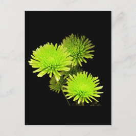 Grüne Blume Postkarte