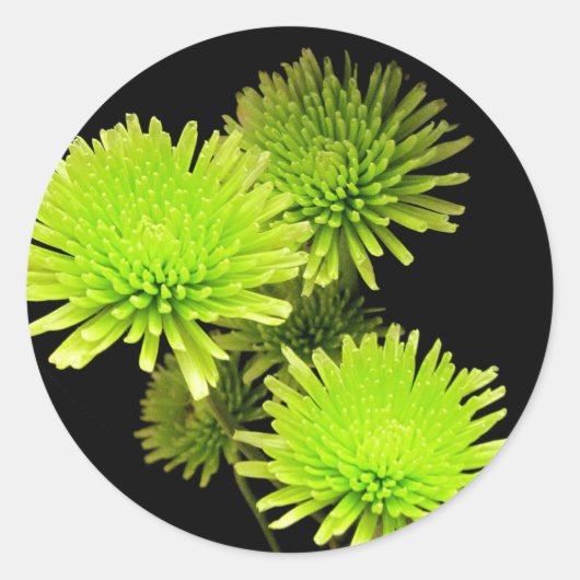 Grüne Blume Runder Aufkleber (Vorderseite)