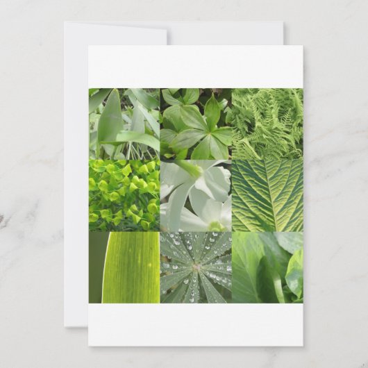 Grüne Blumen (Vorderseite)