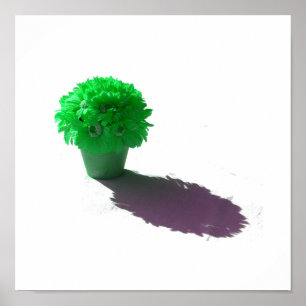 Grüne Blumen-weißer Eimer und Schatten Poster