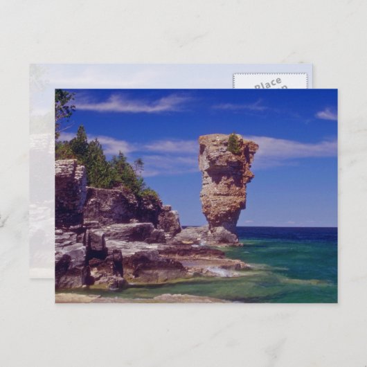 Grüne Blumentopf Insel, Tobermory Blume Postkarte (Vorne/Hinten)