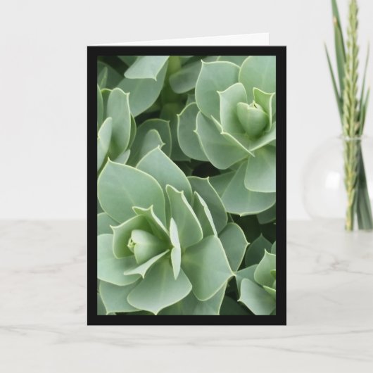 Grüne Blüten - das Lied von Sol. 8:7 Grußkarte Karte (Vorderseite)