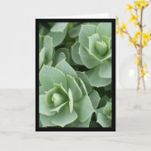 Grüne Blüten - das Lied von Sol. 8:7 Grußkarte Karte (Gelbe Blume)