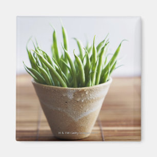 Grüne Bohnen im Topf auf Bambusoberfläche Magnet