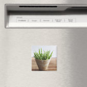 Grüne Bohnen in Topf auf Bambusfläche Magnet (In Situ (Geschirrspüler))