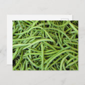 Grüne Bohnen Postkarte (Vorne/Hinten)
