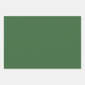 Grüne botanische Feier Geschenkpapier Set (Vorderseite 3)